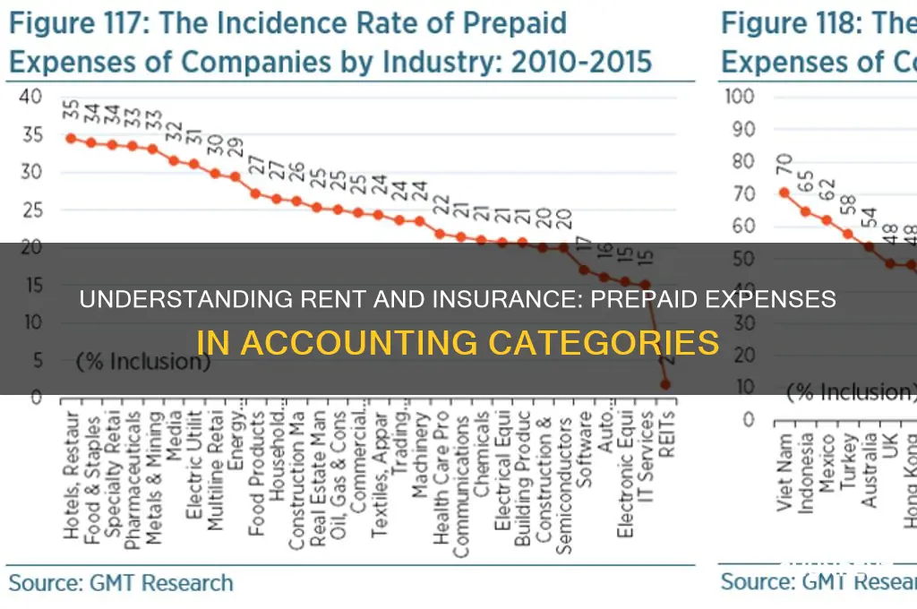 what category is rent and insurance as prepaid