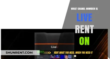 Live Rent on Chanel: Finding the Right Number for You