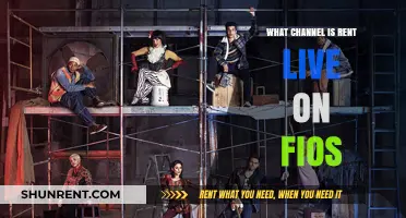 Where to Watch Rent Live on Fios: Channel Guide