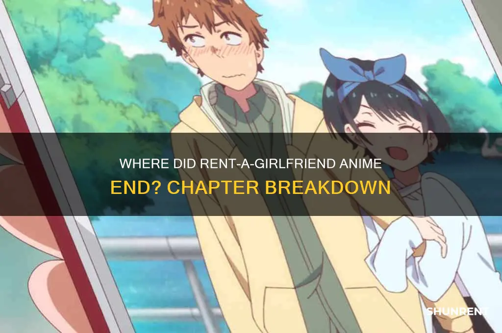 what chapter did rent a girlfriend anime stop