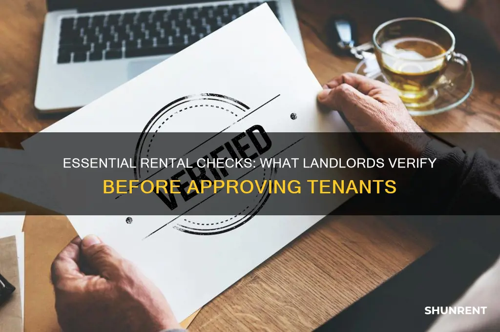 what checks do they do for renting