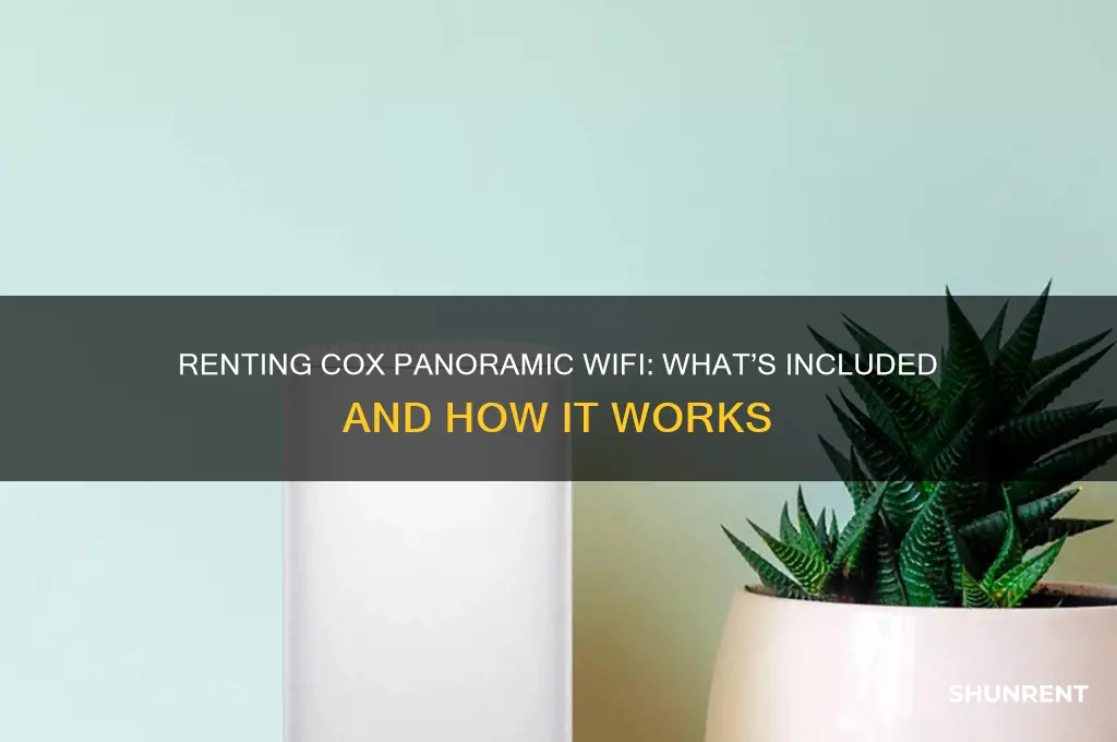 what come when i rent a cox panaramic wifi system