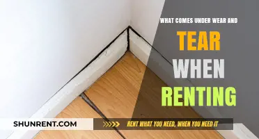 Understanding Wear and Tear: What’s Covered in Your Rental Agreement