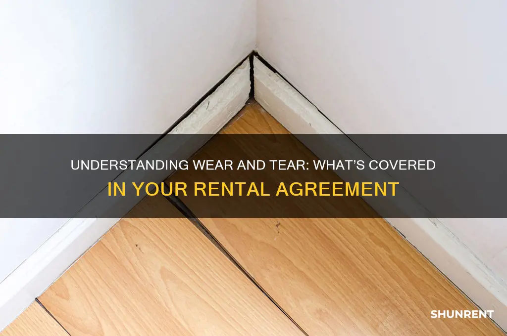 what comes under wear and tear when renting