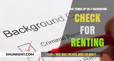 What Renters Need to Know: Background Check Essentials for Leasing