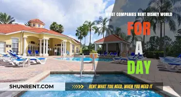 Renting Disney World: Companies That Book the Magic for a Day