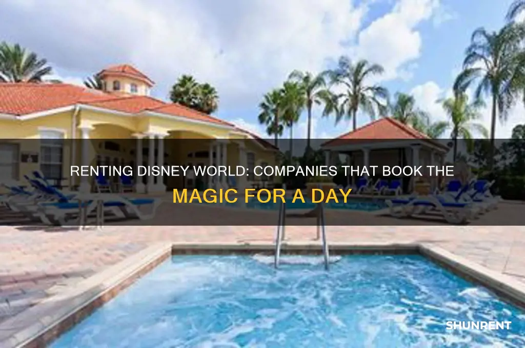 what companies rent disney world for a day