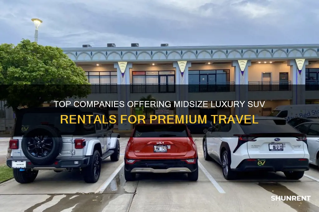 what companies rent out midsize luxury suvs