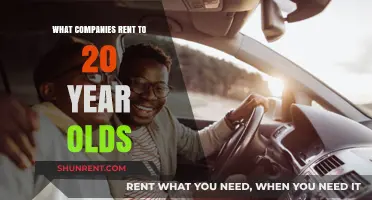 Top Companies Offering Car Rentals to Young Adults Under 25