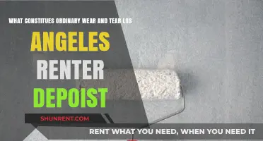 Understanding Ordinary Wear and Tear in Los Angeles Rental Deposits