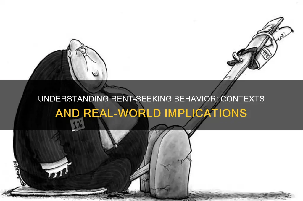 what context do we see rent seeking
