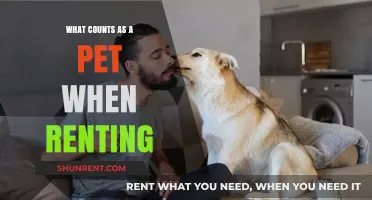 Understanding Pet Policies: What Qualifies as a Pet in Rental Agreements