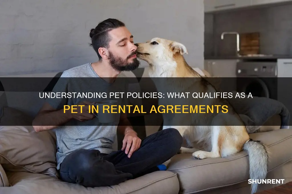 what counts as a pet when renting