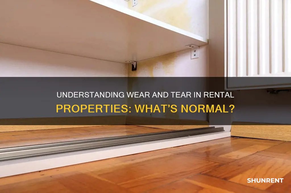 what counts as wear and tear renting