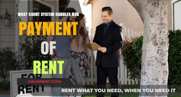 Understanding the Court System for Non-Payment of Rent Cases