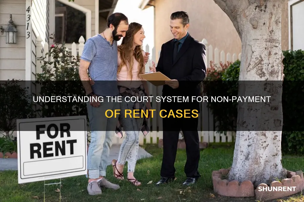 what court system handles non payment of rent