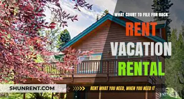 Filing for Back Rent: Choosing the Right Court for Vacation Rentals