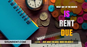 When is Rent Due? Understanding Your Monthly Payment Schedule