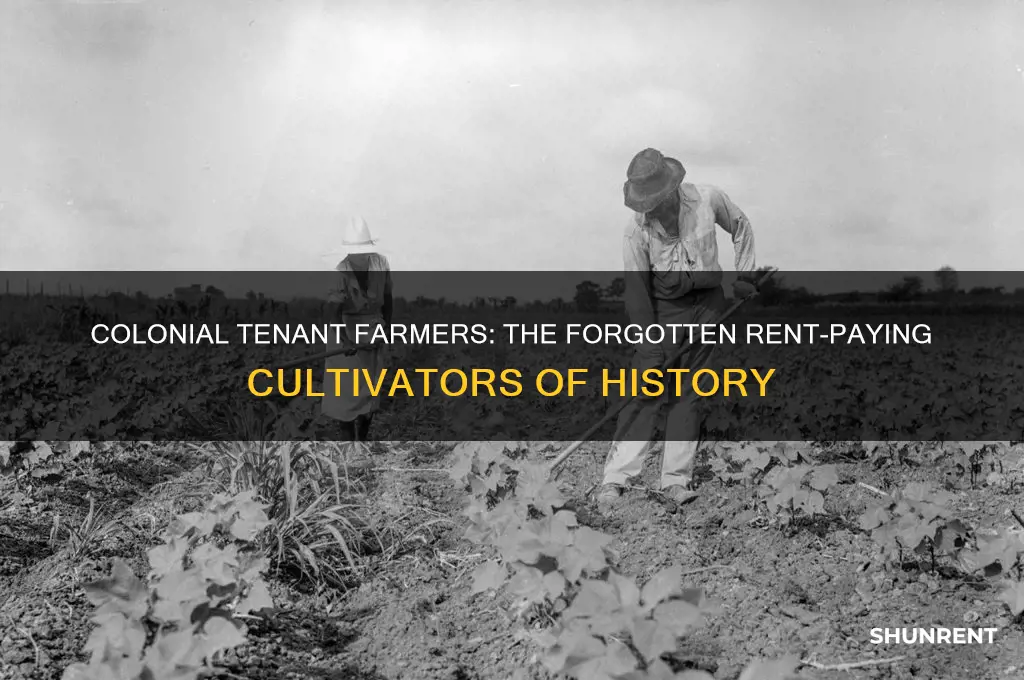 what did they call colonial farmers that paid land rent