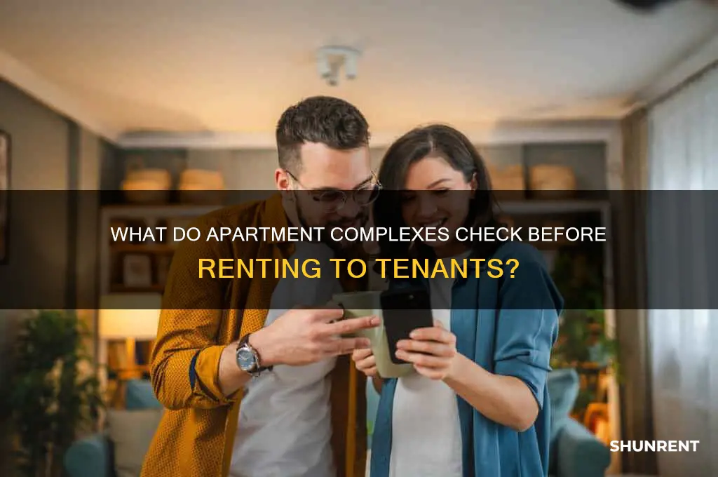 what do apt complexes check to rent