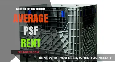 Average PSF Rent for Big Box Tenants: A Comprehensive Analysis