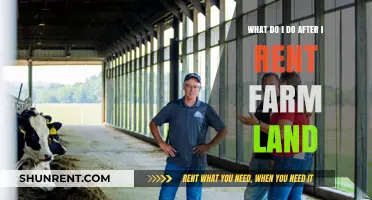 Maximizing Your Farmland Rental: Essential Steps for Success After Renting