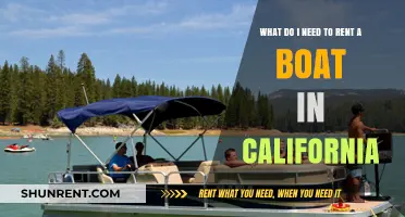 Renting a Boat in California: Essential Requirements and Tips
