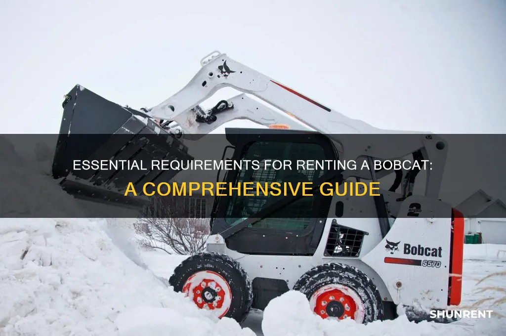 what do i need to rent a bobcat