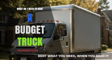 Essential Requirements for Renting a Budget Truck: A Quick Guide