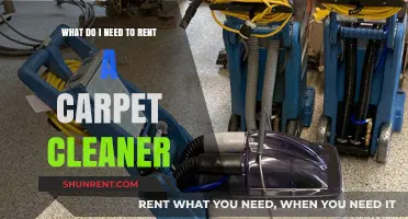 Essential Items to Rent a Carpet Cleaner: A Quick Guide