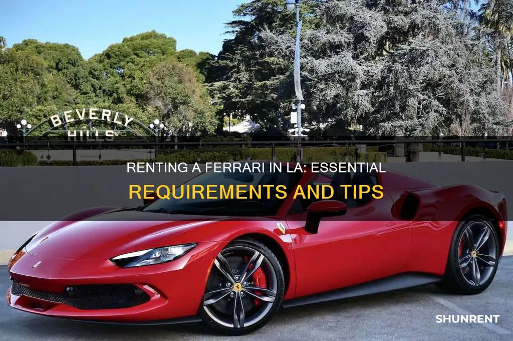 what do i need to rent a ferrari in la
