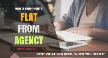 Essential Requirements for Renting a Flat Through an Agency