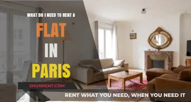 Renting in Paris: Essential Documents and Tips for Flat Hunters