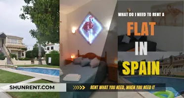 Essential Documents and Tips for Renting a Flat in Spain