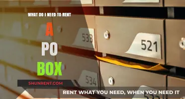 Essential Requirements for Renting a PO Box: A Comprehensive Guide