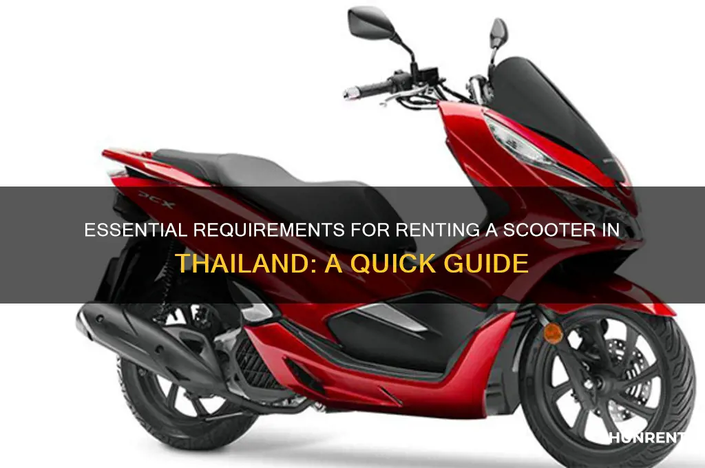 what do i need to rent a scooter in thailand
