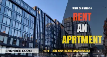 Essential Requirements for Renting Your First Apartment: A Complete Guide