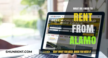 Essential Alamo Rental Checklist: What You Need to Rent a Car