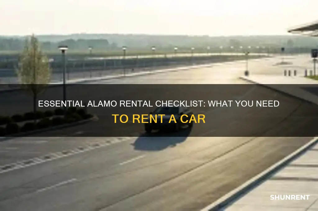 what do i need to rent from alamo
