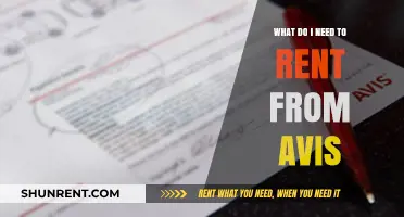 Essential Avis Rental Checklist: What You Need to Rent a Car