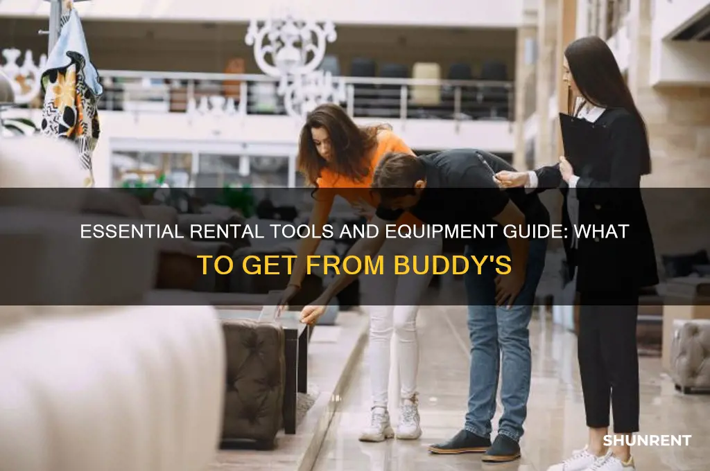 what do i need to rent from buddy