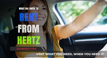 Essential Hertz Rental Requirements: What You Need to Know Before Booking