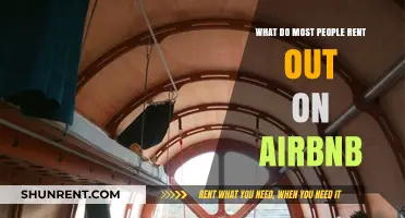 Popular Airbnb Rentals: What Properties Do Most Hosts Offer?