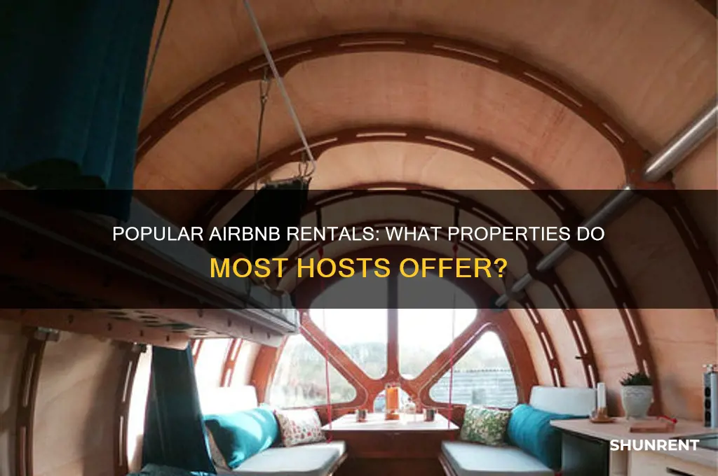 what do most people rent out on airbnb