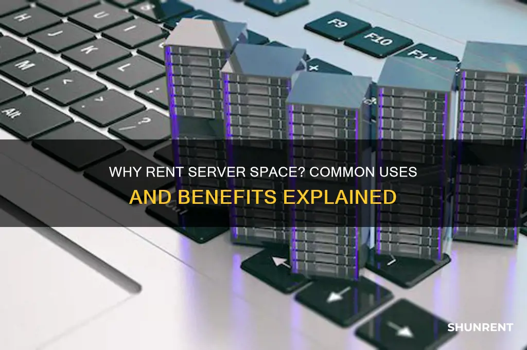 what do people rent server space for