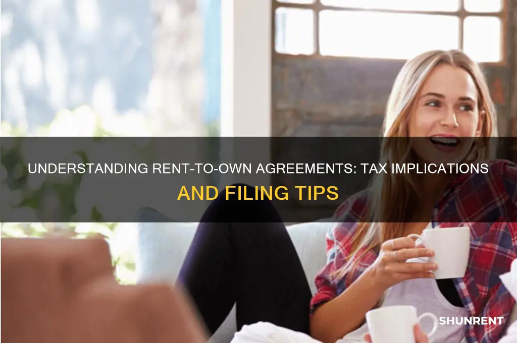 what do rent owns mean while filing taxes