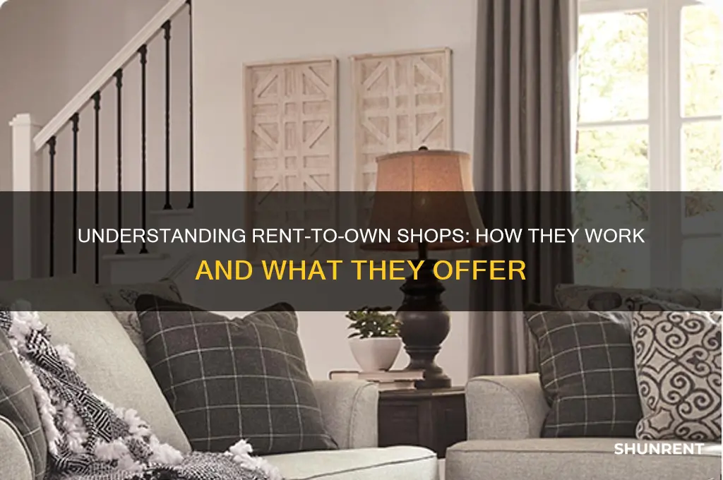 what do rent-to-own shops do
