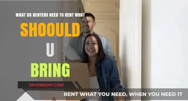 Essential Items Renters Should Bring When Moving into a New Rental