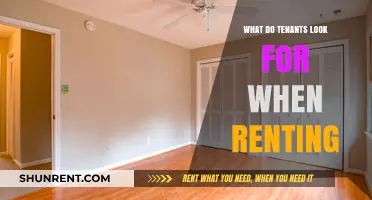 Key Features Tenants Prioritize When Choosing a Rental Property