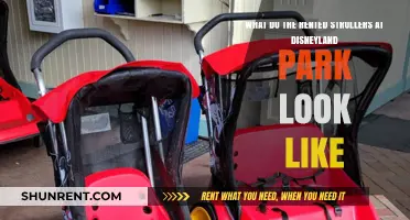 Disneyland Rented Strollers: Design, Features, and What to Expect